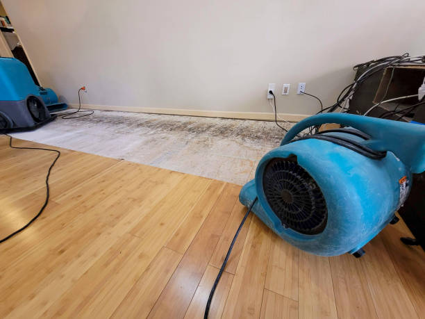 Professional Structural Drying technician working in Laceys Spring, AL